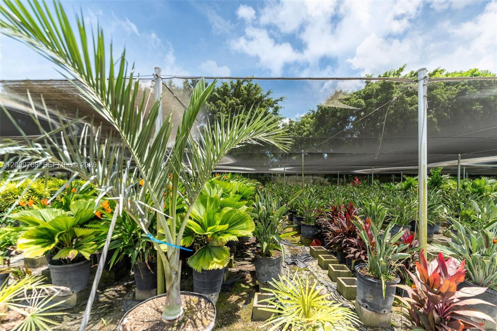 19050 SW Krome Aka 177 Avenue, Miami, FL 33187 photo 8