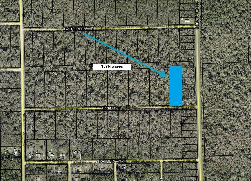 3540 APPLE Avenue, Bunnell, FL 32110 photo 1