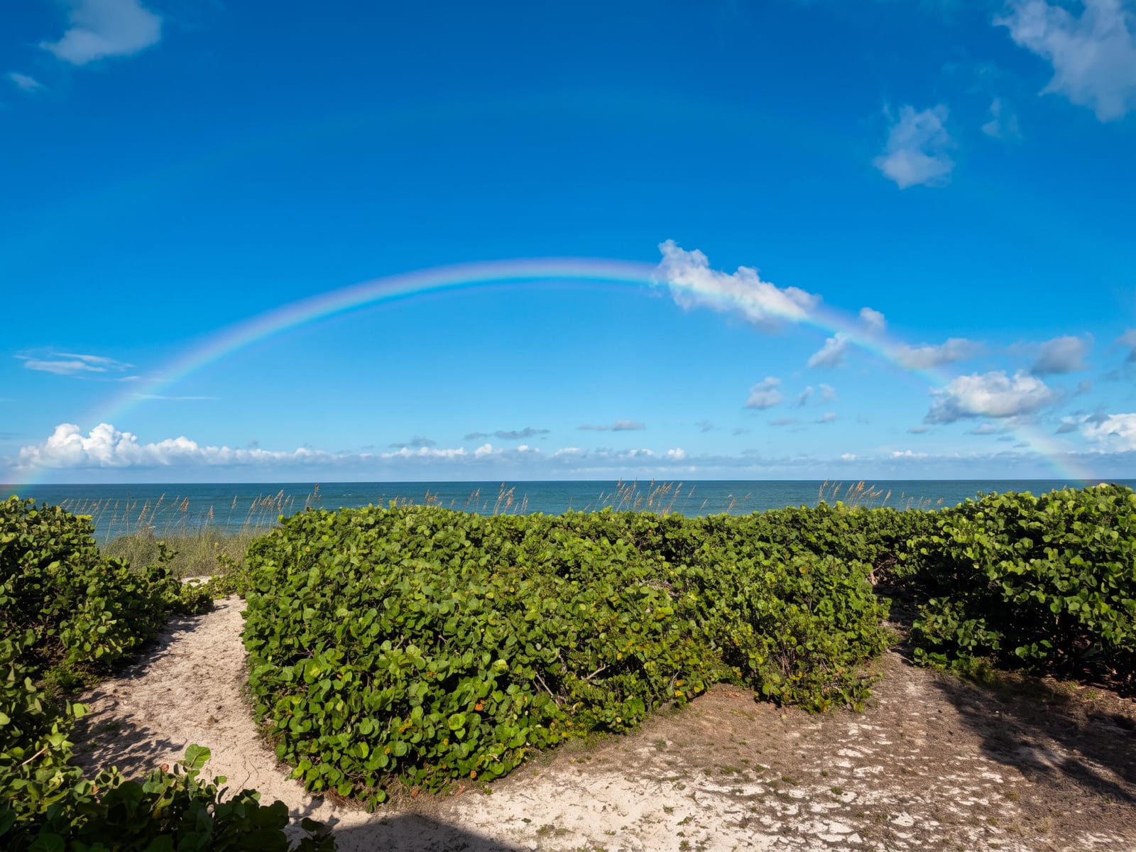 12356 HIGHWAY A1A Highway, Vero Beach, FL 32963