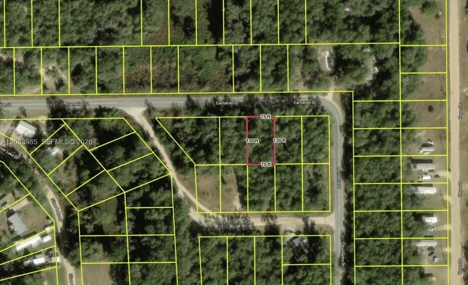 [107] Carnation Street, FL 32148 photo 3