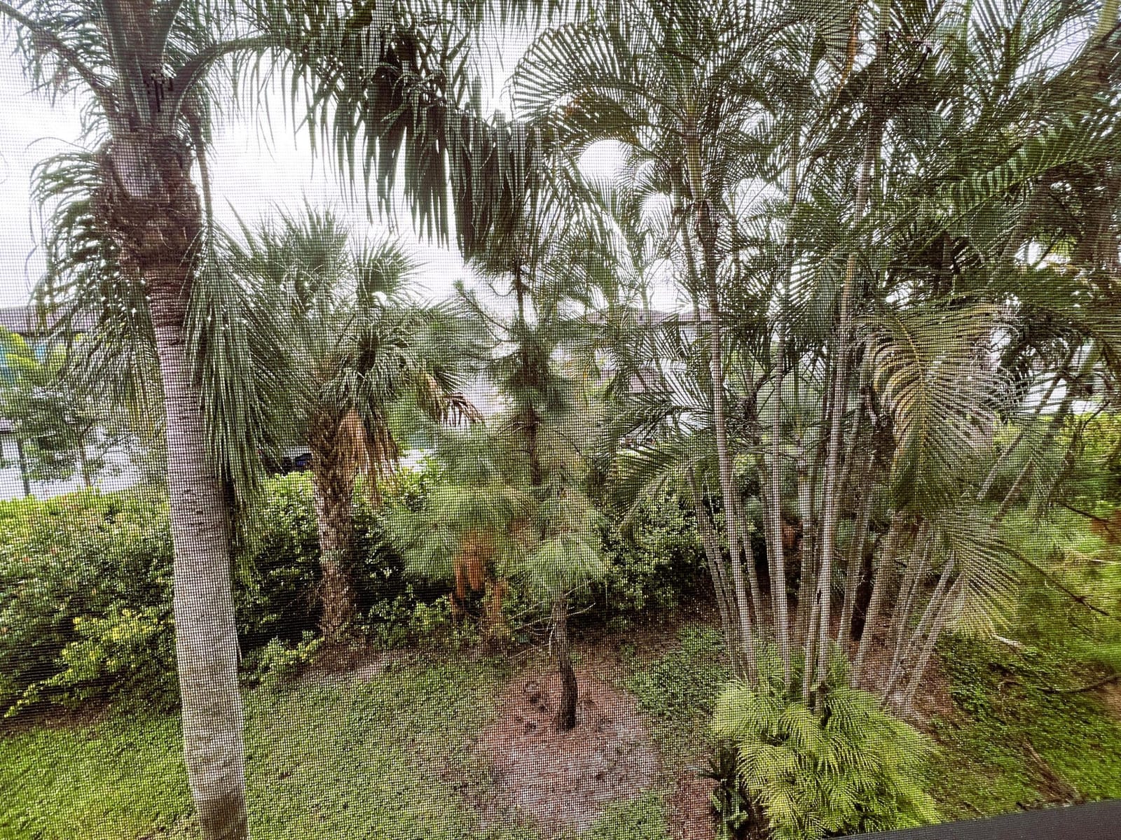 7245 Golf Colony Court 203 — photo 2