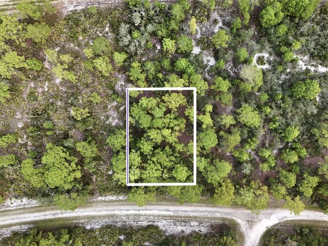 1137 Redbird Street, Lake Placid, FL 33852