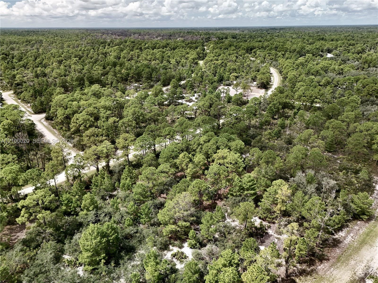1137 Redbird Street, Lake Placid, FL 33852 photo 22