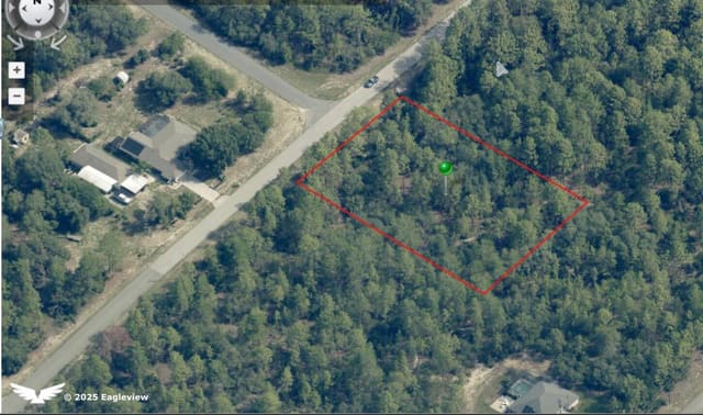 7295 N Hazelwood Drive, Citrus Springs, FL 34433