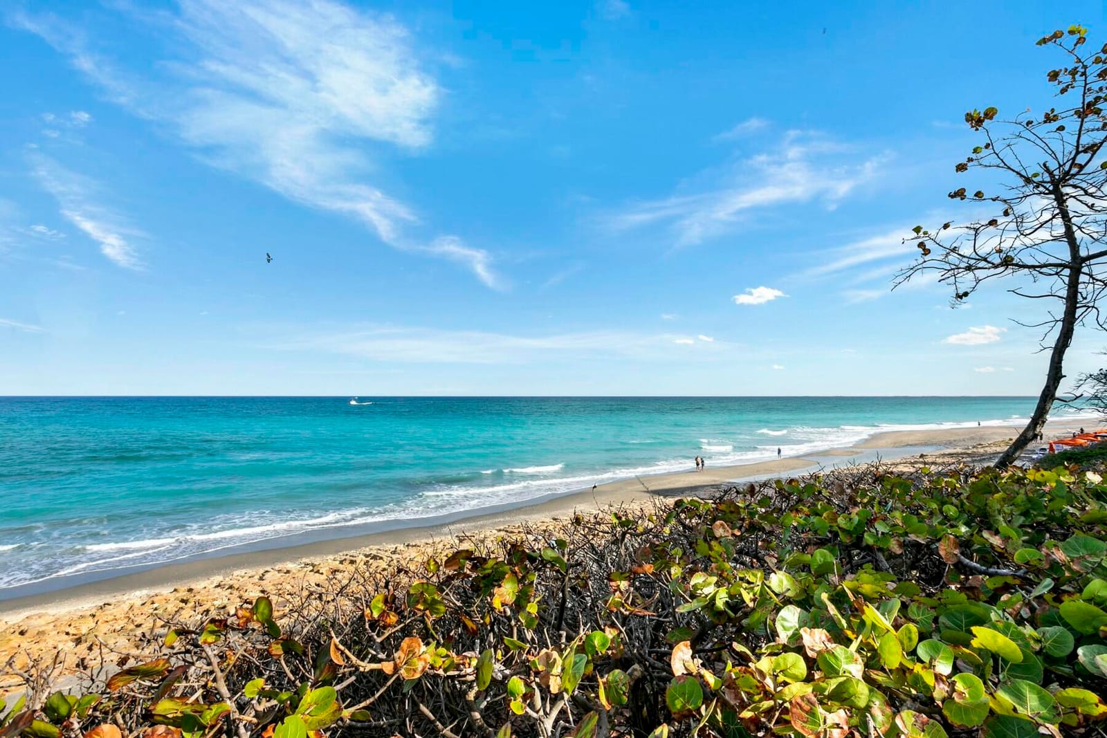 500 Ocean Trail Way 304, Jupiter, FL 33477 photo 28