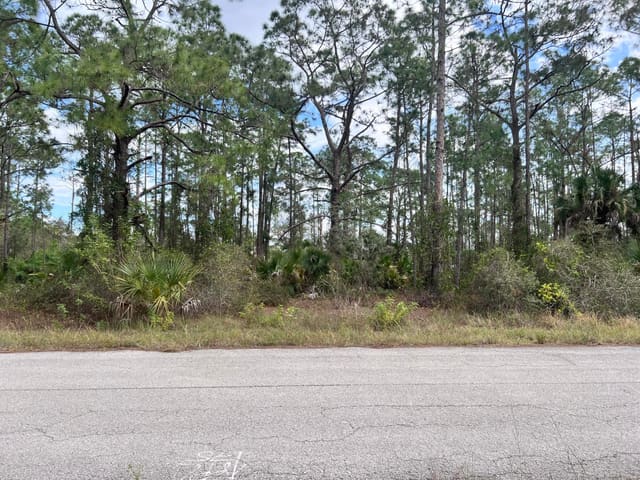 1610 Desoto Avenue, Lehigh Acres, FL 33972
