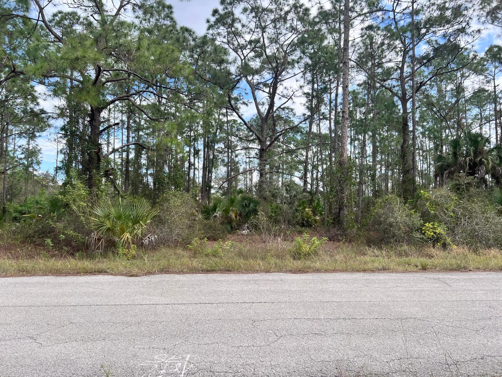 1610 Desoto Avenue, Lehigh Acres, FL 33972 photo 1