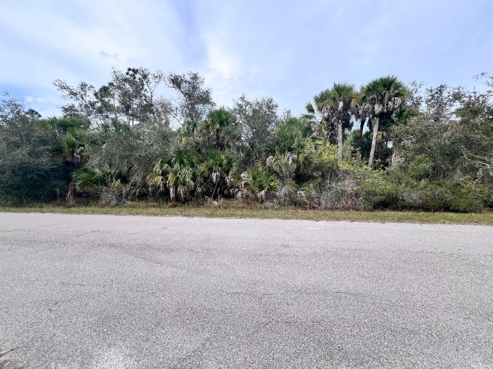 14248 Cameron Avenue, Port Charlotte, FL 33953 photo 1