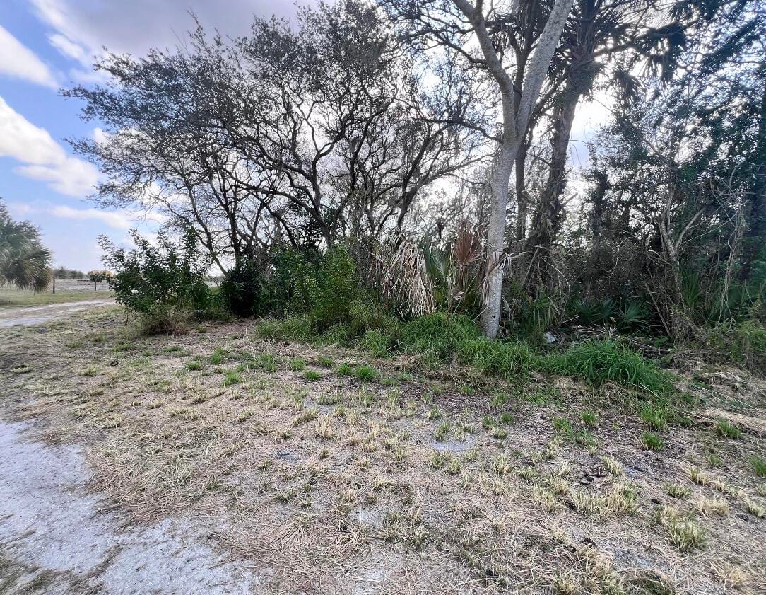 4108 Sebring Lakes Boulevard, Sebring, FL 33875 photo 2