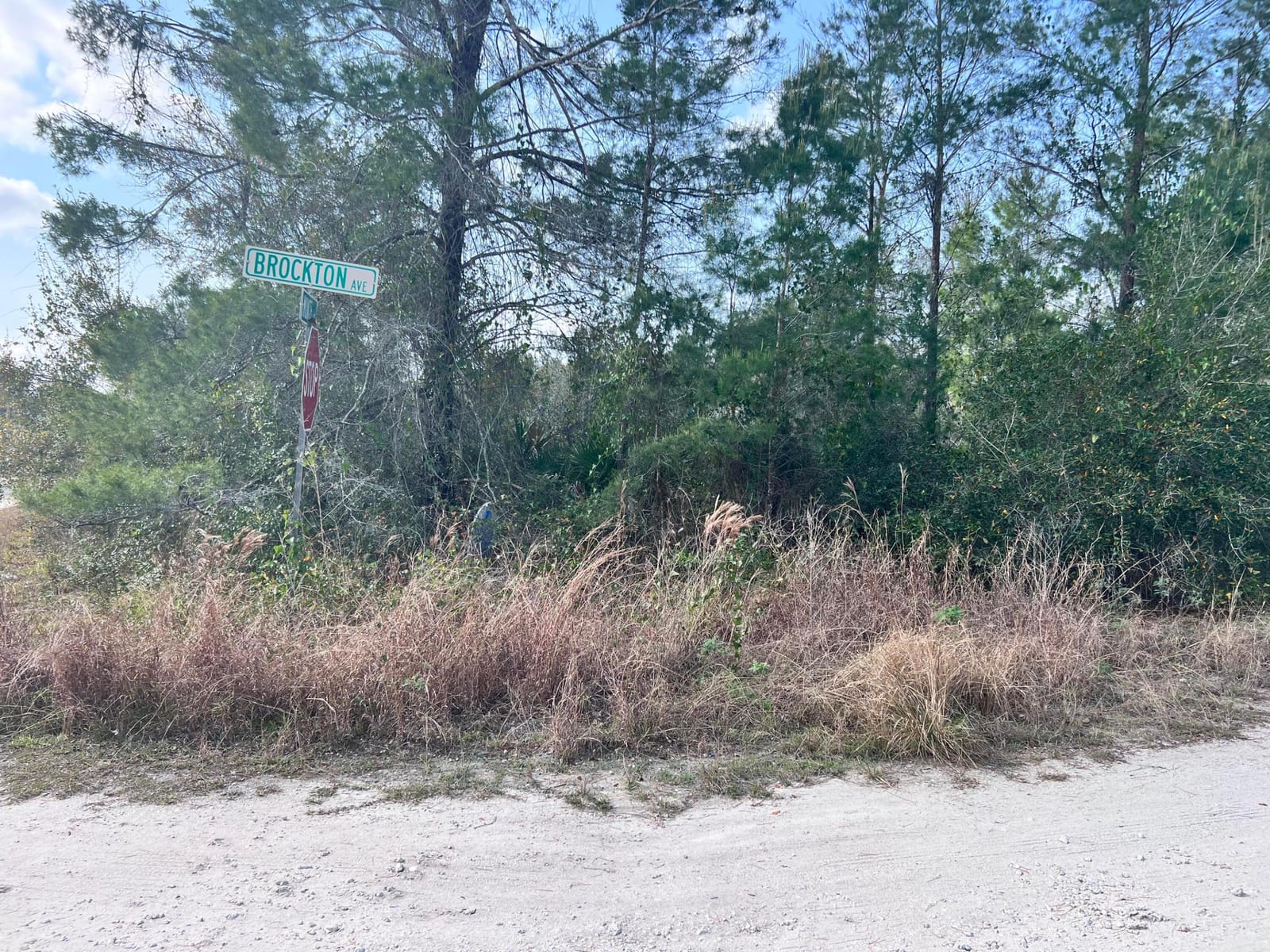 4847 Brockton Avenue, Sebring, FL 33875 photo 1