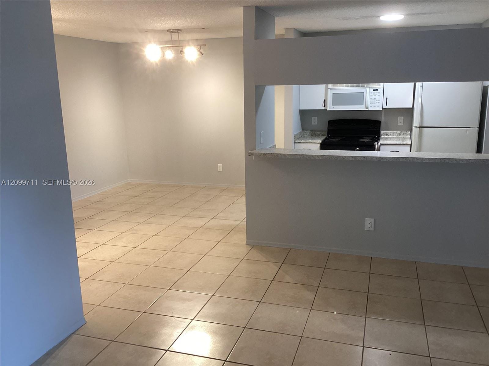 10510 SW 157th Court 203, Miami, FL 33196 photo 3