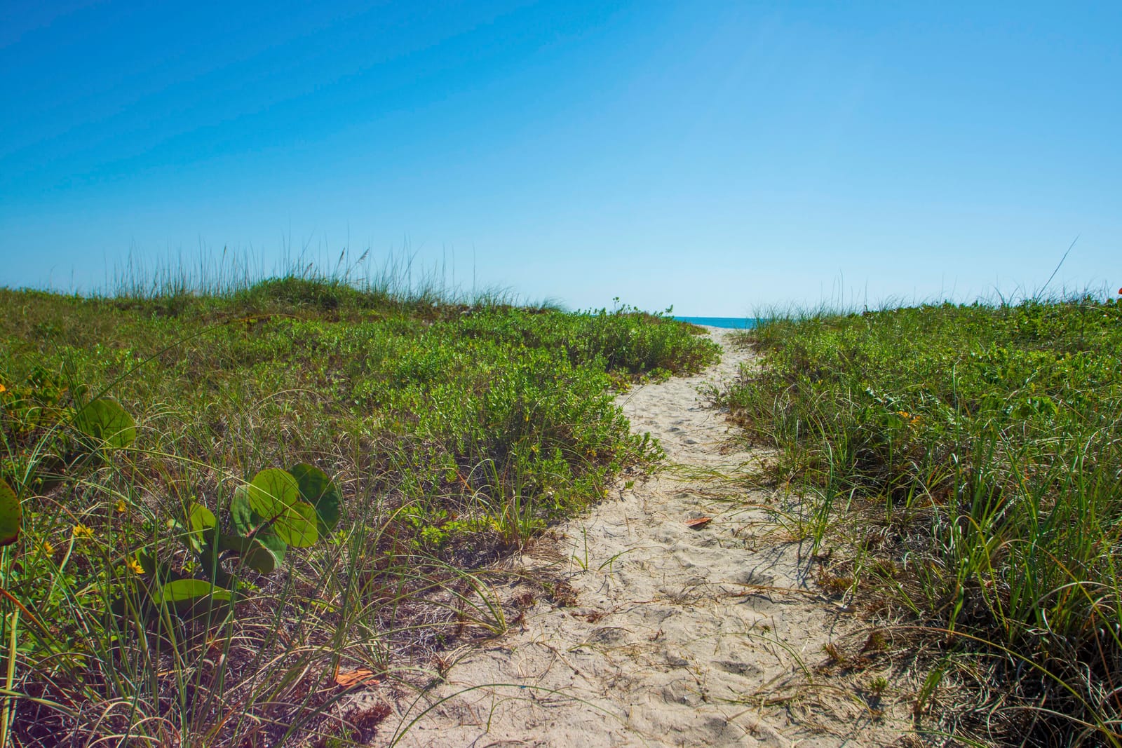 5159 Jimmy Buffett Mem Highway, Fort Pierce, FL 34949 photo 30