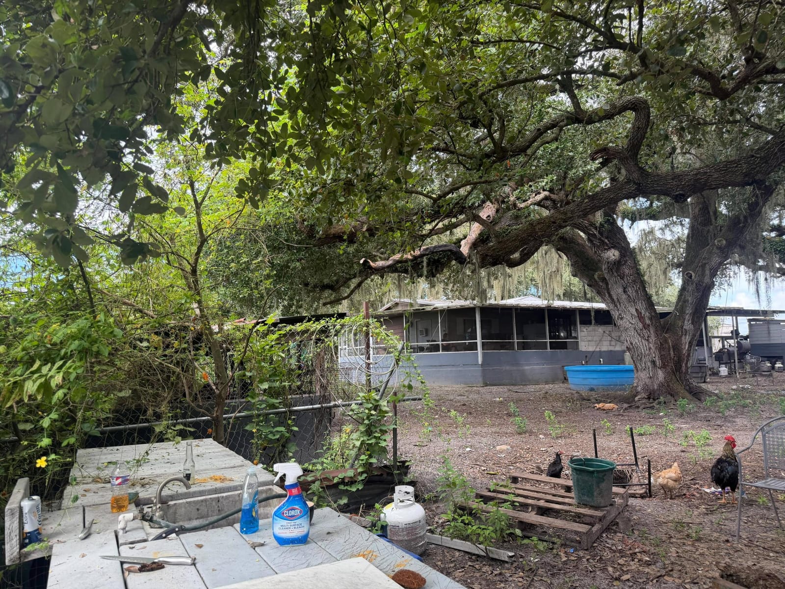2345 OLD LAKEPORT Road NW, Moore Haven, FL 33471 photo 2