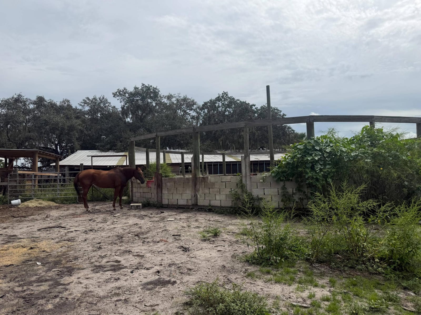 2345 OLD LAKEPORT Road NW, Moore Haven, FL 33471 photo 12