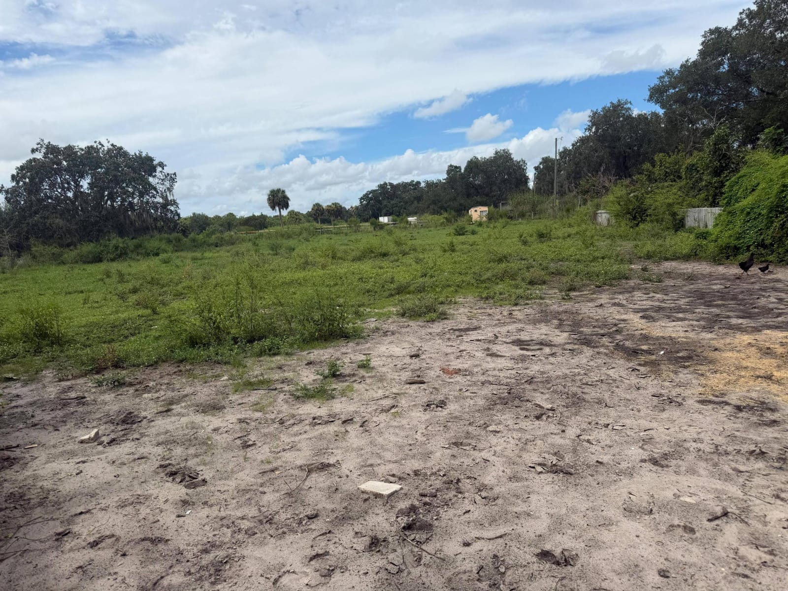 2345 OLD LAKEPORT Road NW, Moore Haven, FL 33471 photo 13