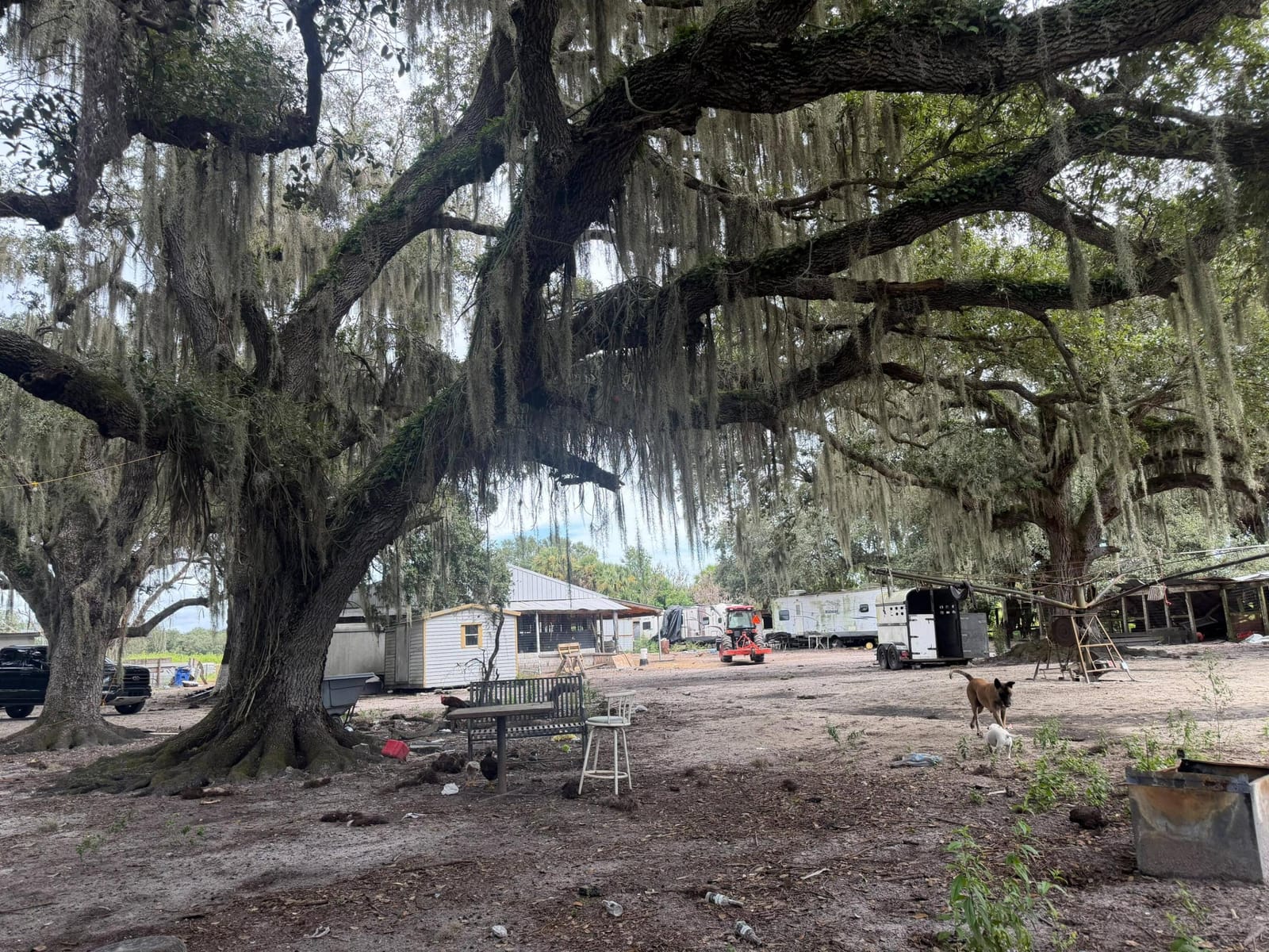 2345 OLD LAKEPORT Road NW, Moore Haven, FL 33471 photo 14