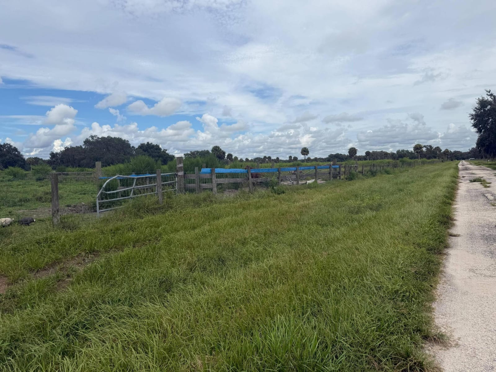 2345 OLD LAKEPORT Road NW, Moore Haven, FL 33471 photo 17