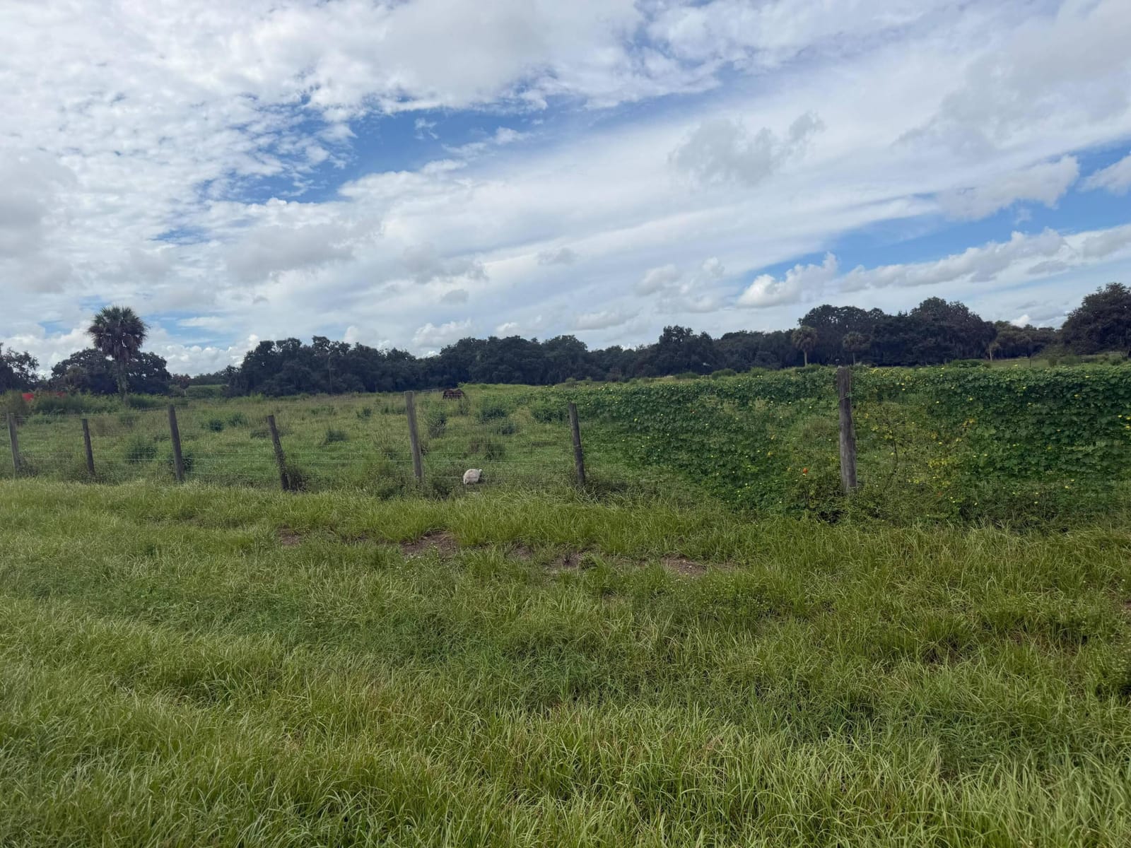 2345 OLD LAKEPORT Road NW, Moore Haven, FL 33471 photo 18