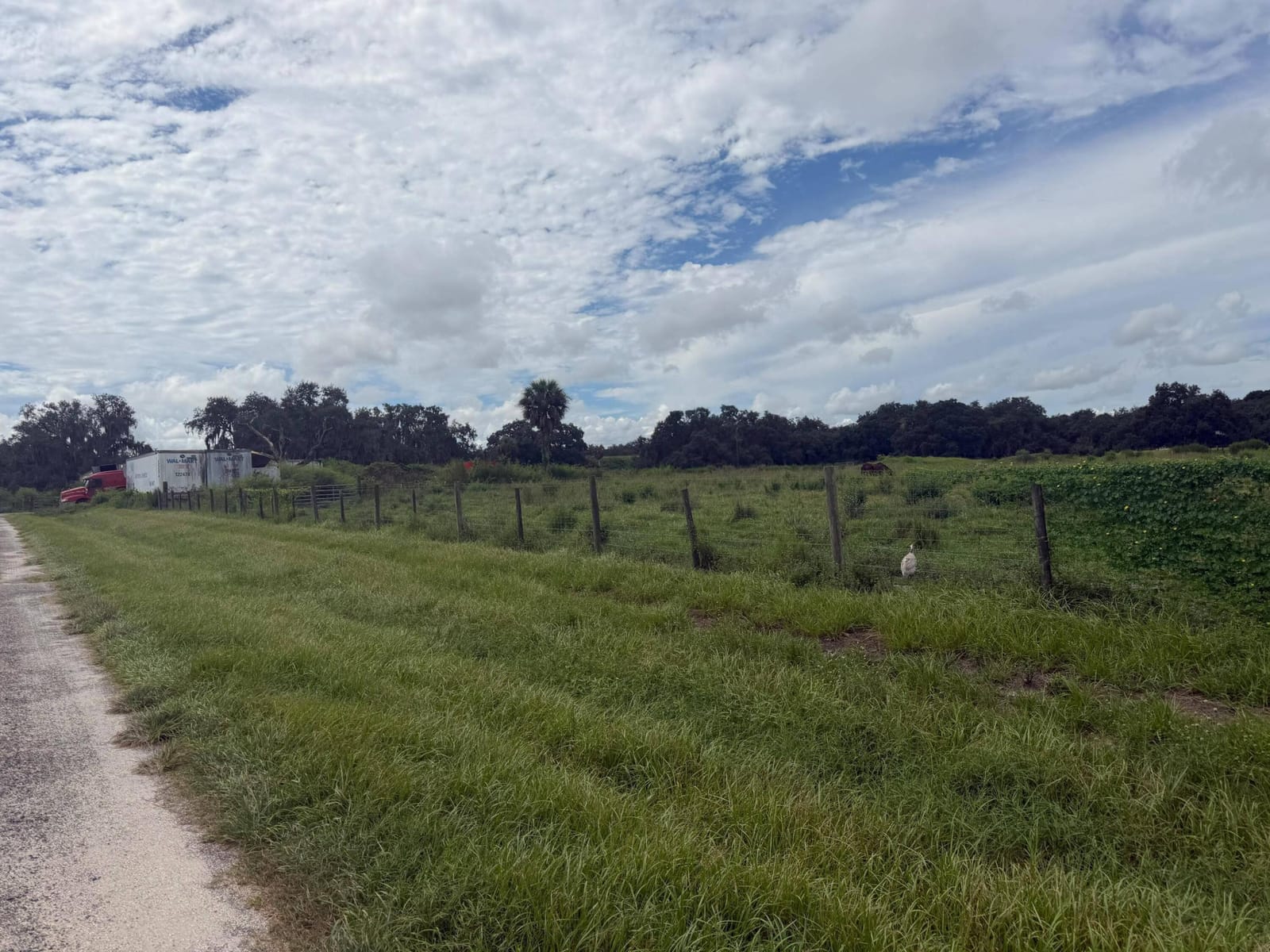 2345 OLD LAKEPORT Road NW, Moore Haven, FL 33471 photo 19