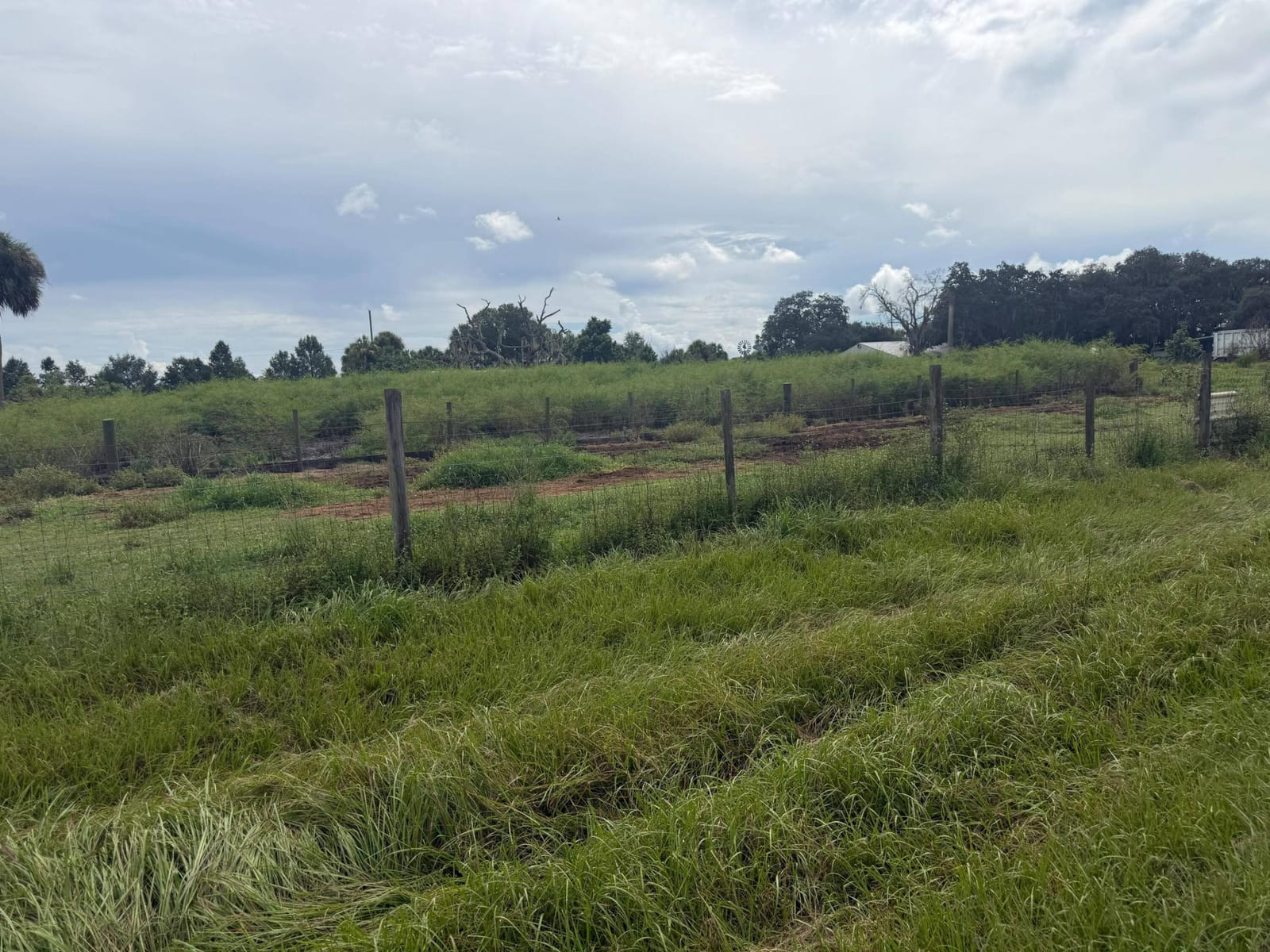 2345 OLD LAKEPORT Road NW, Moore Haven, FL 33471 photo 20