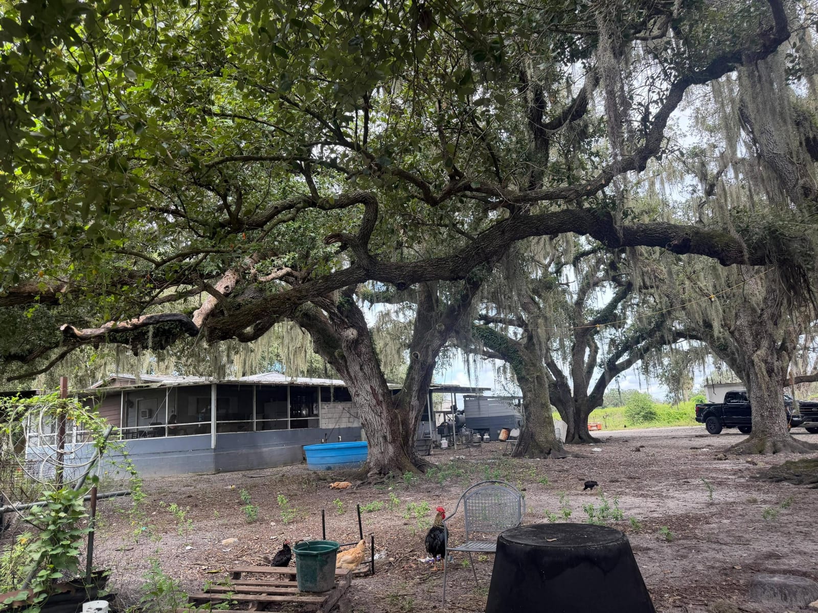 2345 OLD LAKEPORT Road NW, Moore Haven, FL 33471 photo 6