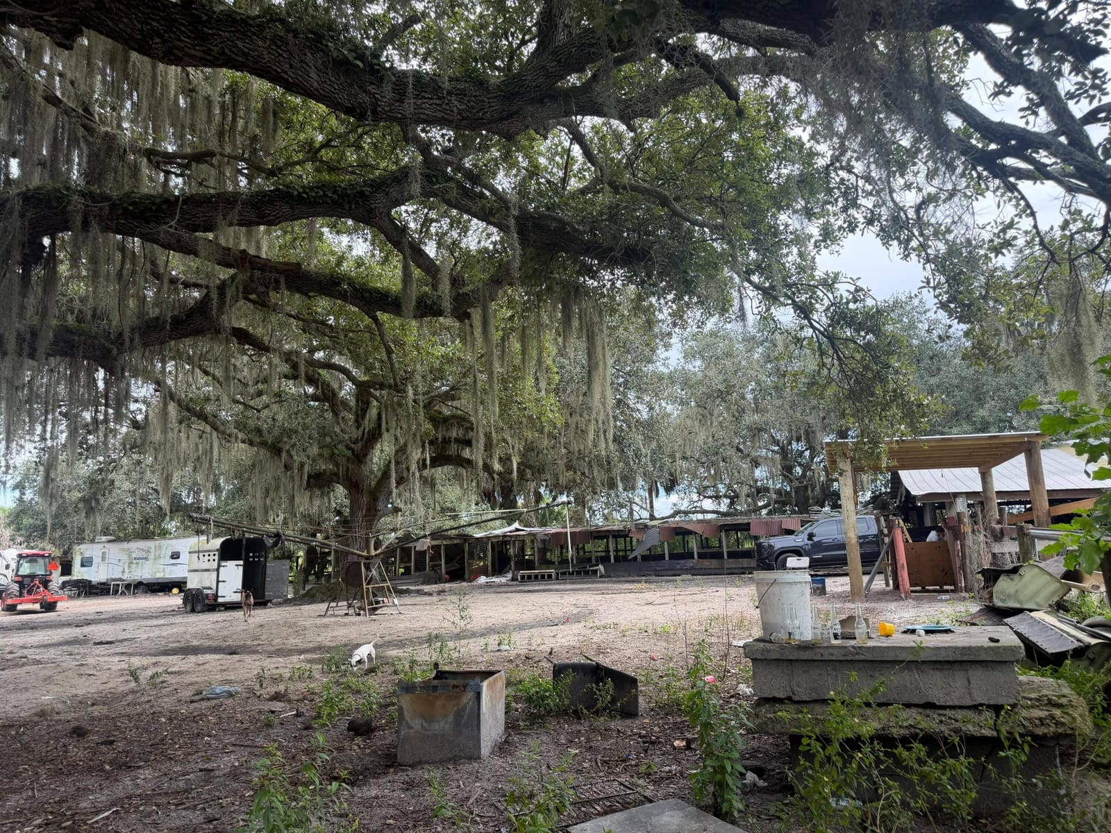 2345 OLD LAKEPORT Road NW, Moore Haven, FL 33471 photo 8