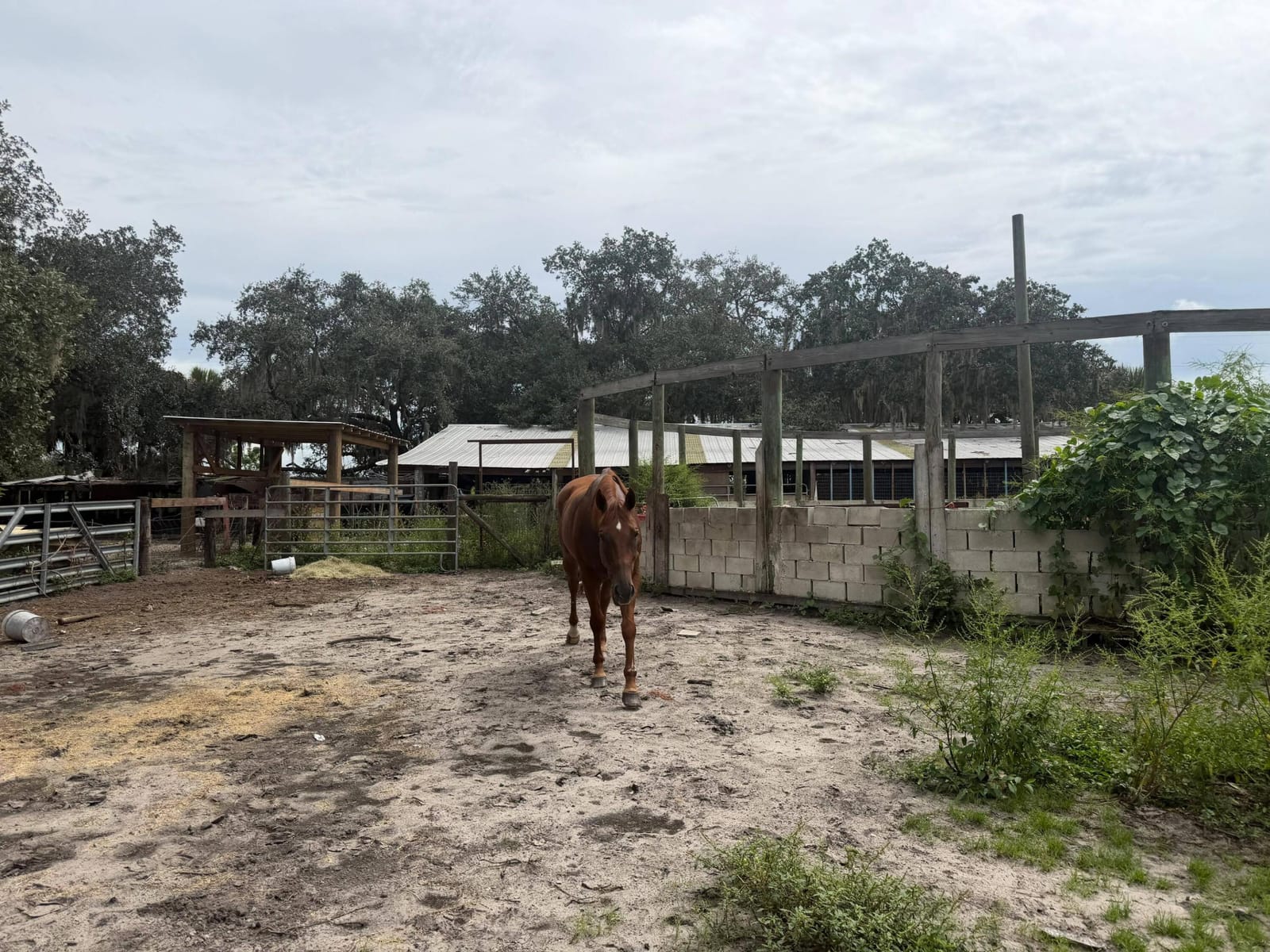 2345 OLD LAKEPORT Road NW, Moore Haven, FL 33471 photo 9