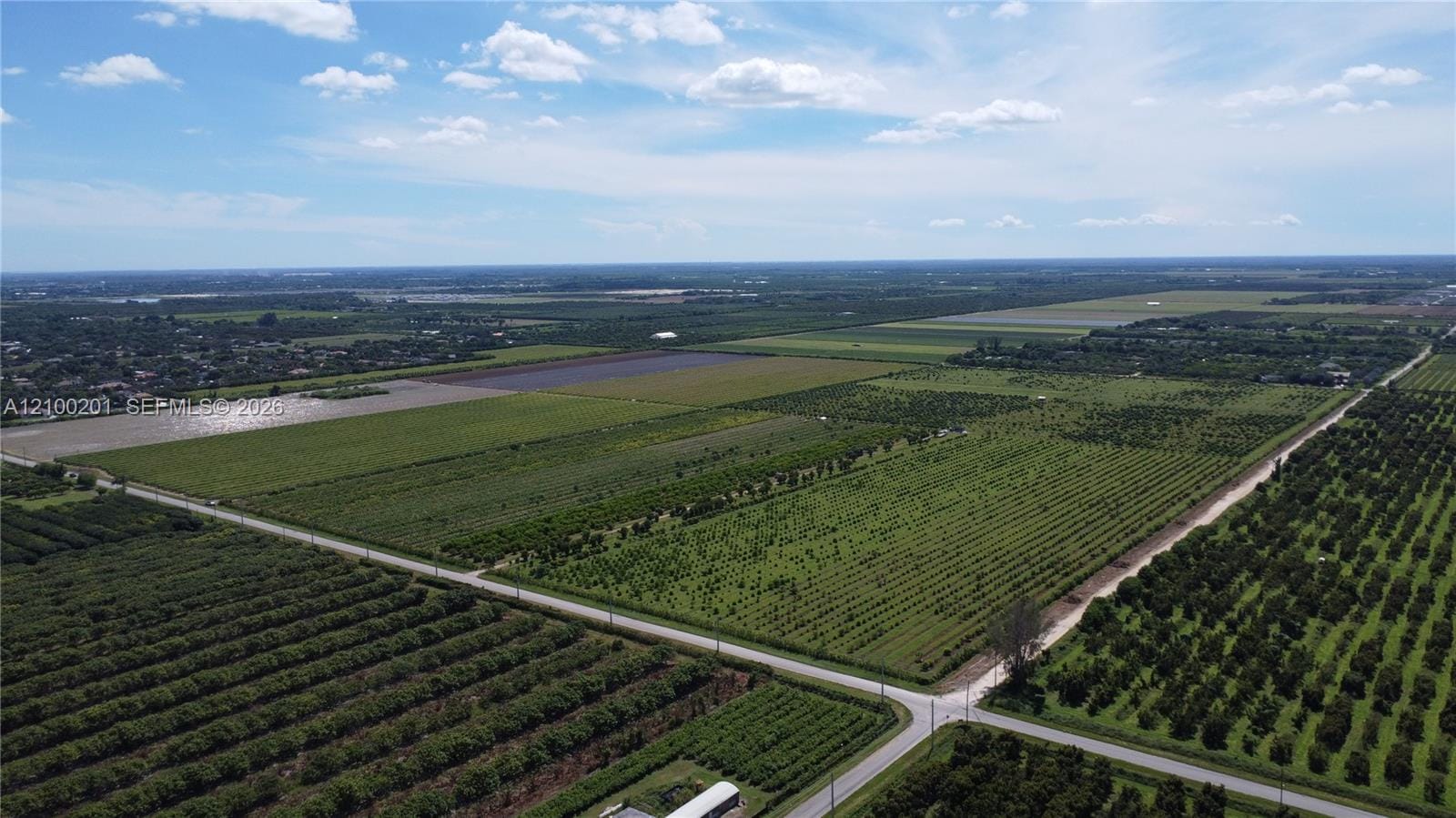 320xx SW 212 Avenue, Homestead, FL 33030 photo 5