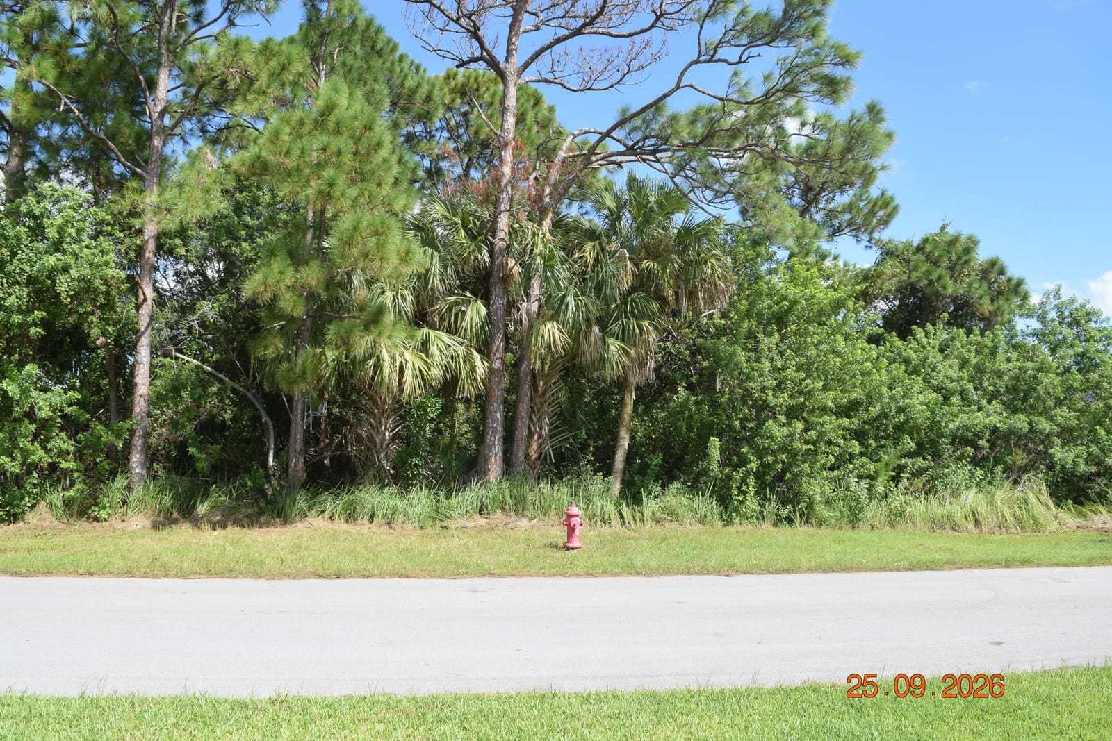 2449 Altara Street SW, Port St. Lucie, FL 34953 photo 3