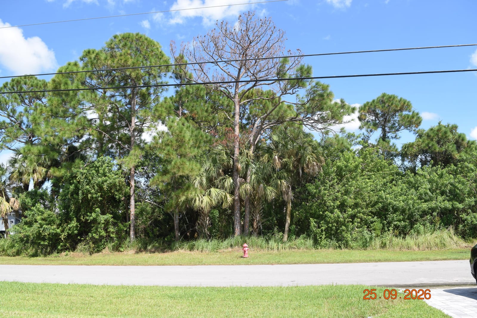 2449 Altara Street SW, Port St. Lucie, FL 34953 photo 4
