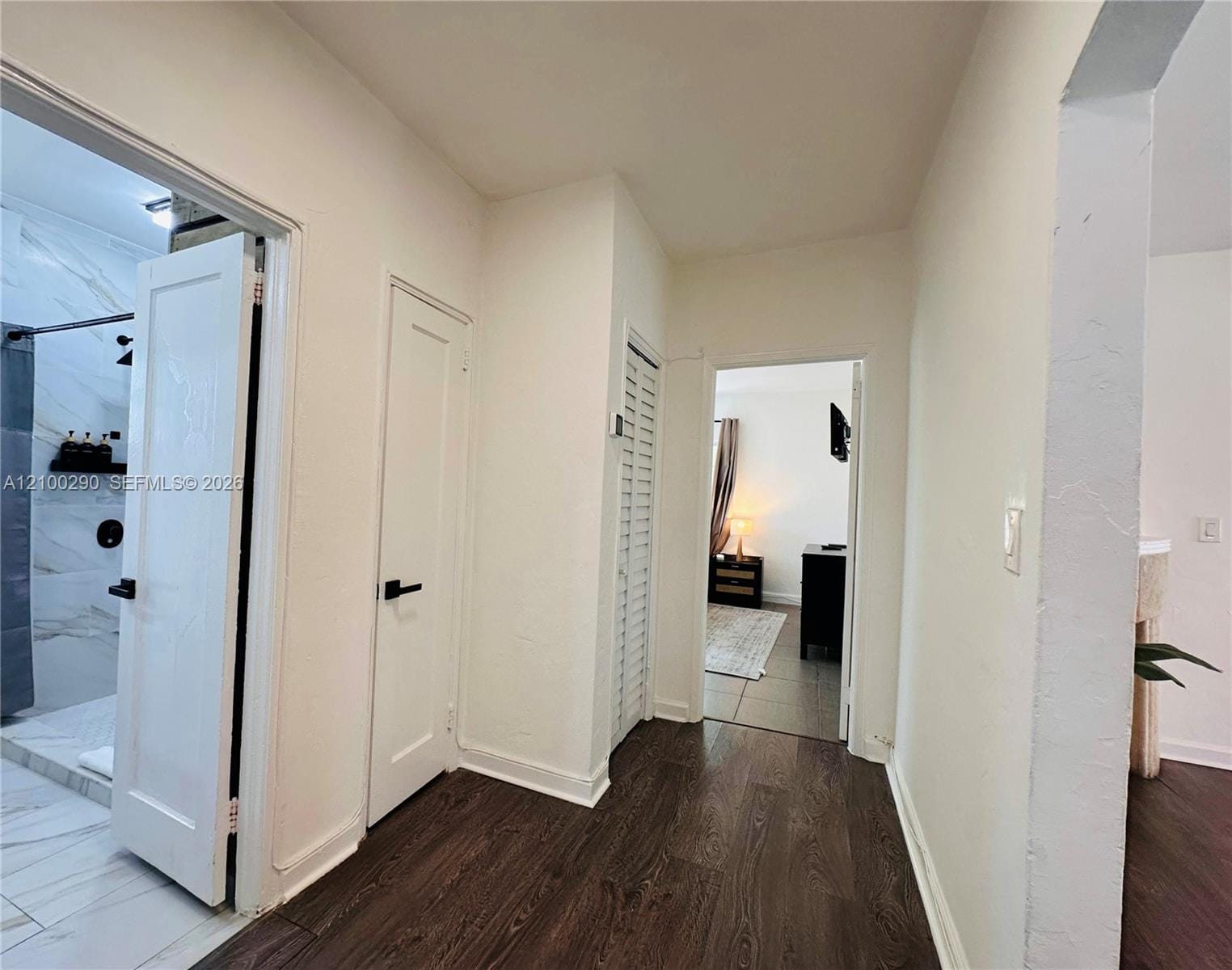 1032 Michigan Avenue B, Miami Beach, FL 33139 photo 29