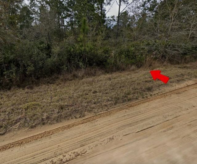 003 Creager Avenue, Interlachen, FL 32148