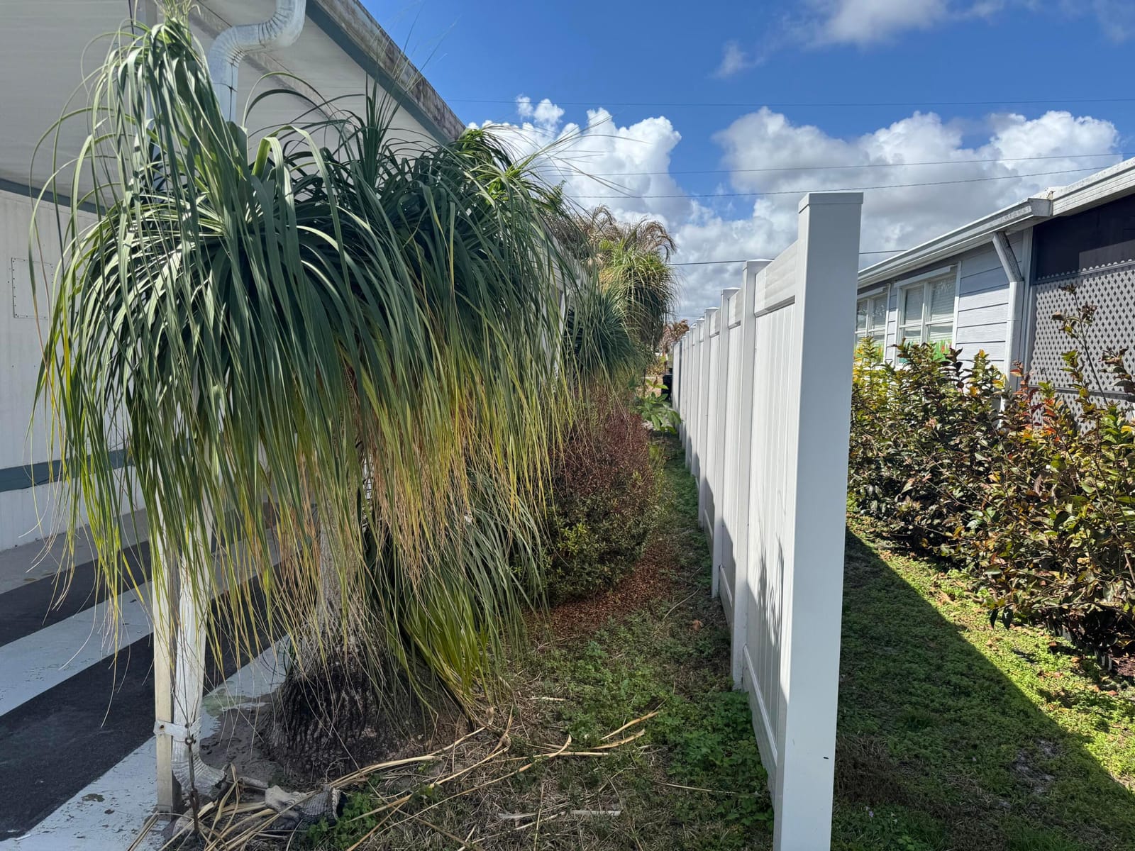 8072 SE SKYLARK Avenue, Hobe Sound, FL 33455 photo 5