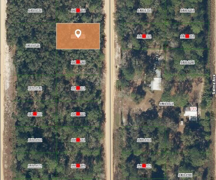 006 Creager Avenue, Interlachen, FL 32148 photo 2