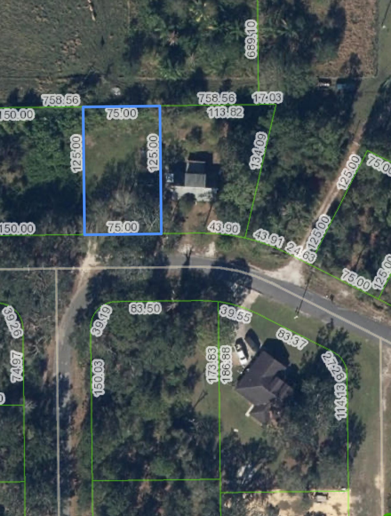 1513 SPRING Lane, Lake Placid, FL 33852 photo 3