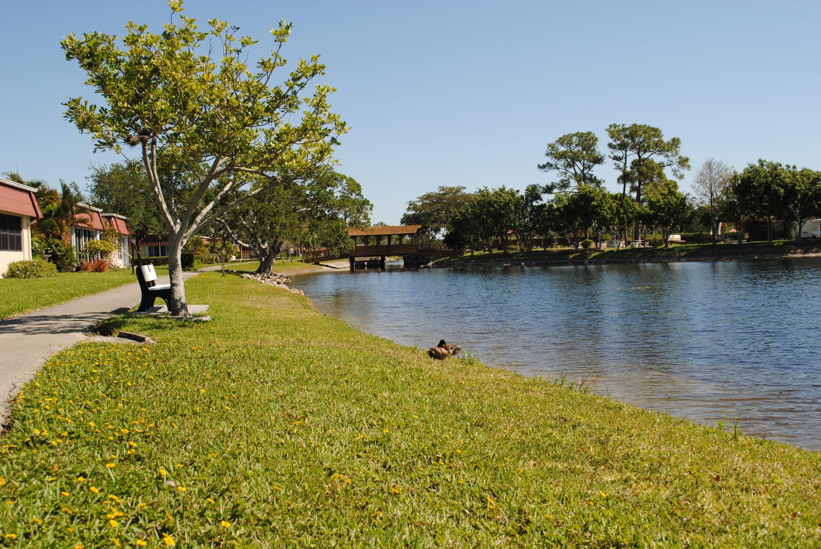815 SALEM Lane, Lake Worth, FL 33467 photo 14