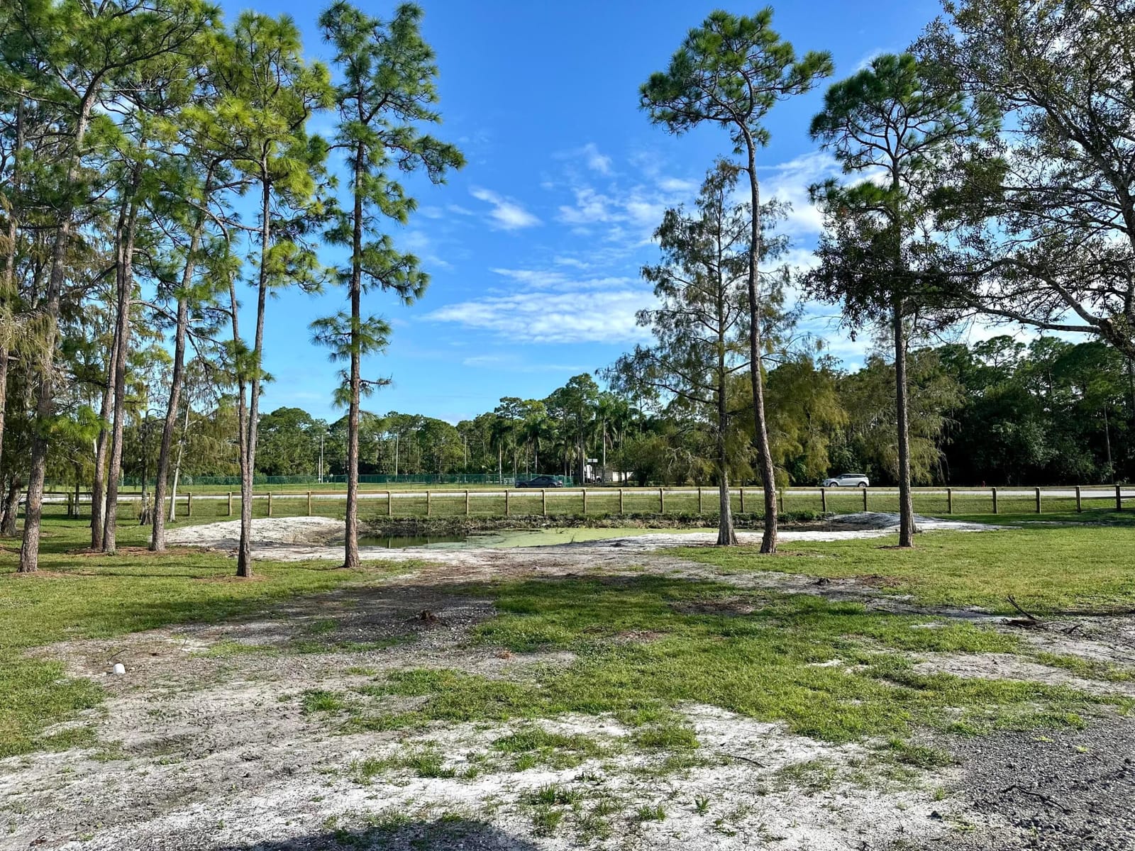 16155 67TH Court N, The Acreage, FL 33470 photo 28