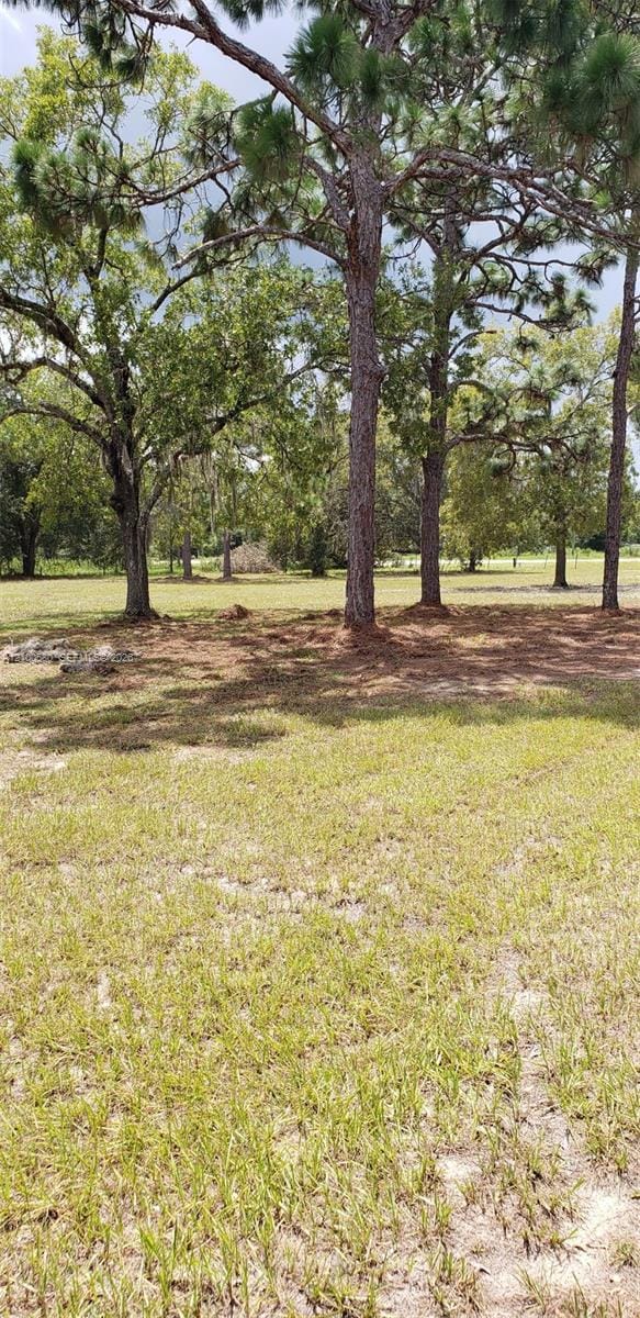 8049 E Highway 25, FL 34420 photo 6