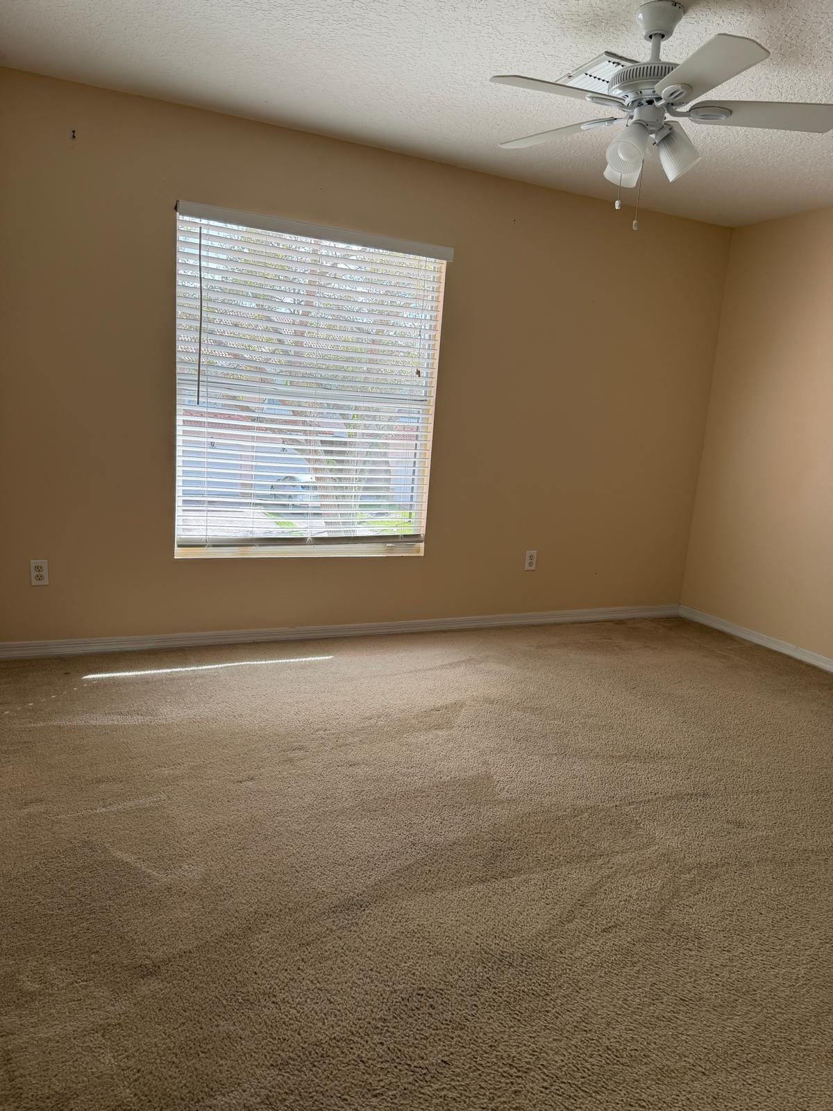 1510 Seminole Palms Drive, Greenacres, FL 33463 photo 16