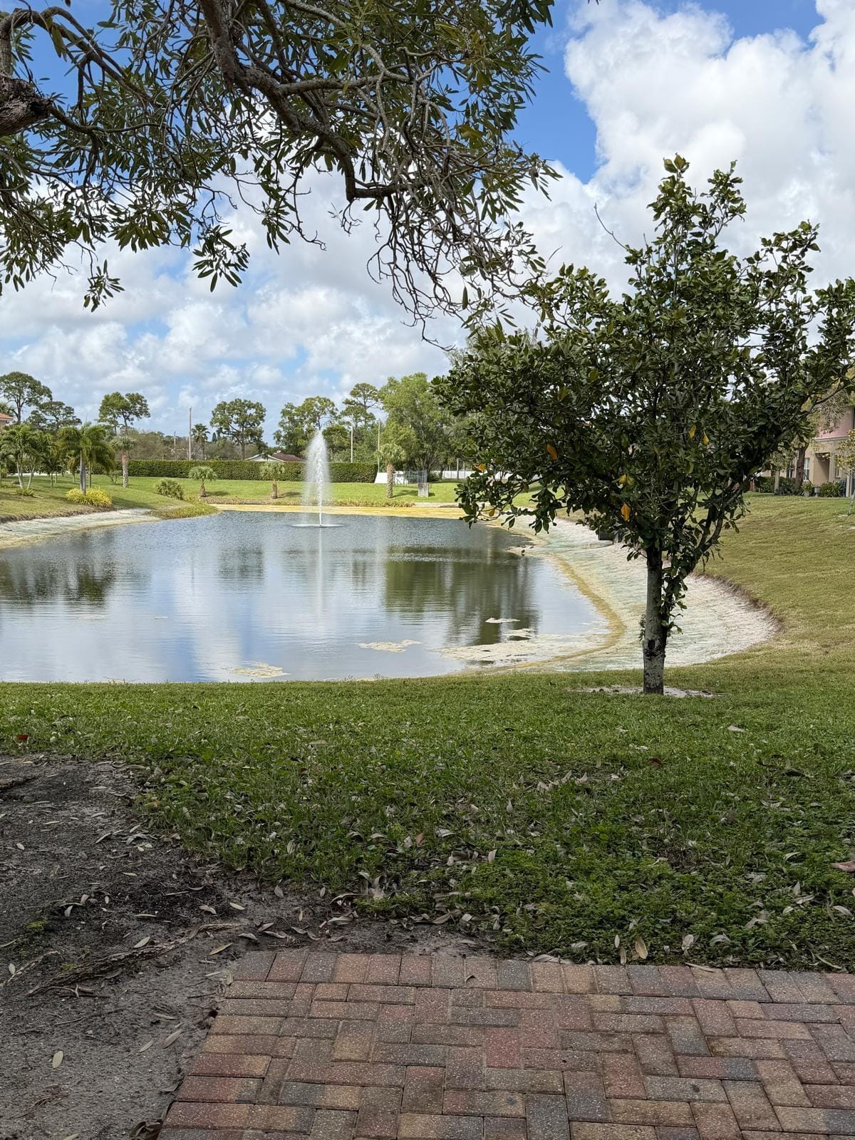 1510 Seminole Palms Drive, Greenacres, FL 33463 photo 22