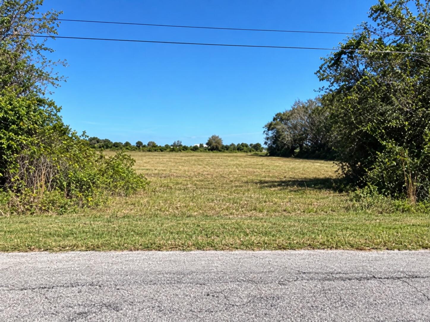 16905 NW 220th Street, Okeechobee, FL 34972 photo 3