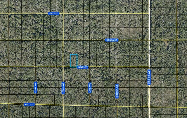 Tbd james, Hastings, FL 32145