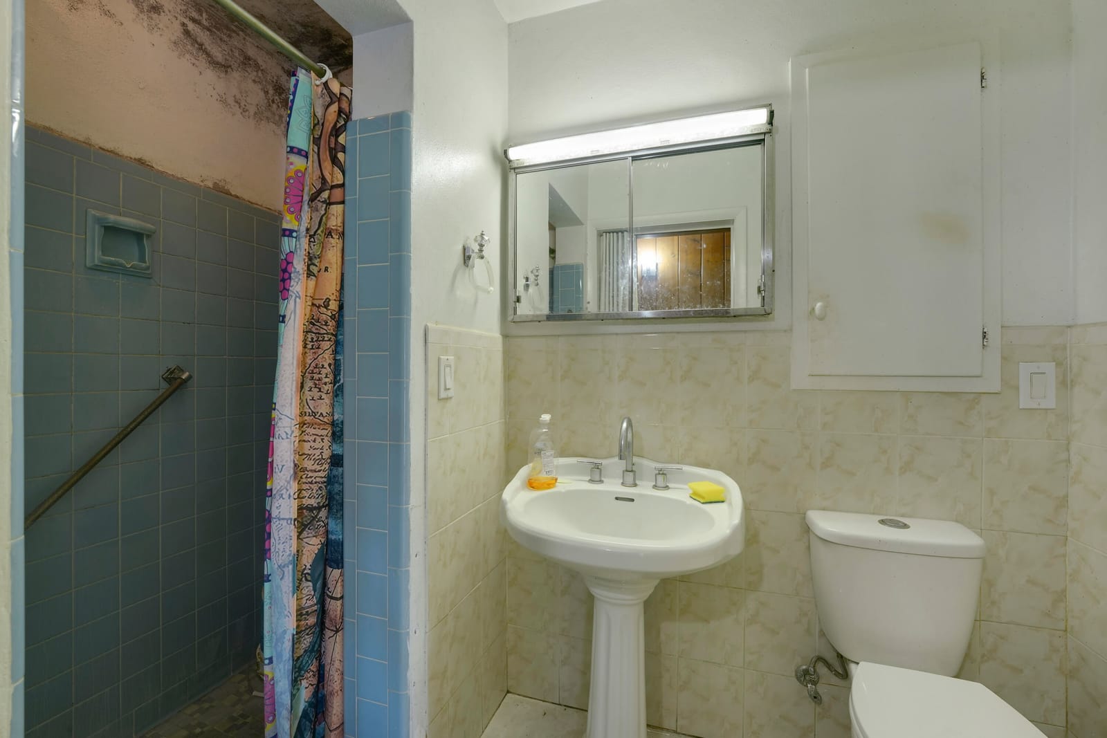 1008 Francis Street, West Palm Beach, FL 33405 photo 20