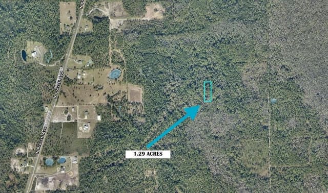 Tbd LOT 23, Lake Helen, FL 32744