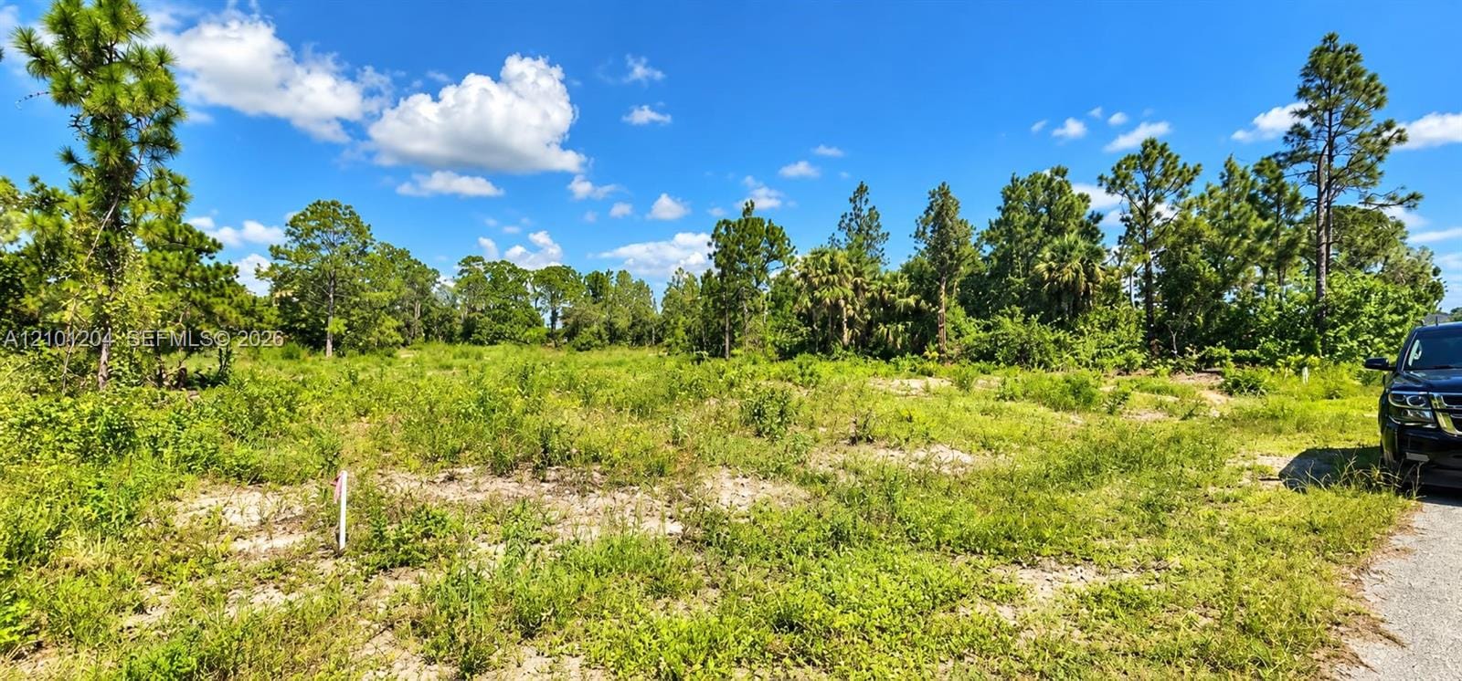 1221 Acacia Avenue, Lehigh Acres, FL 33972 photo 2