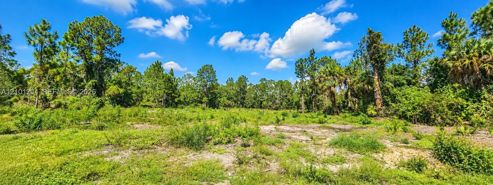1221 Acacia Avenue, Lehigh Acres, FL 33972