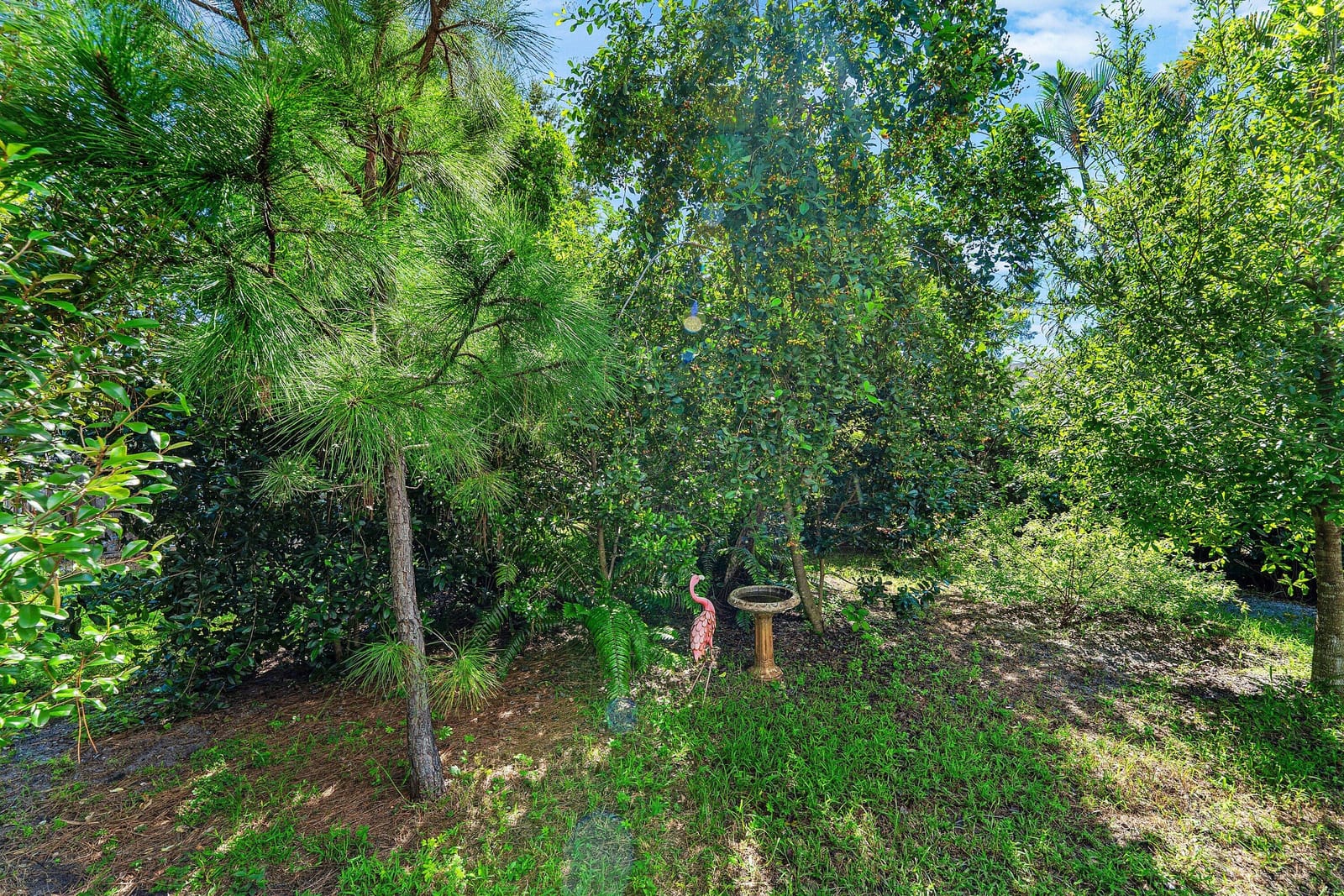 806 N M Street, Lake Worth Beach, FL 33460 photo 24