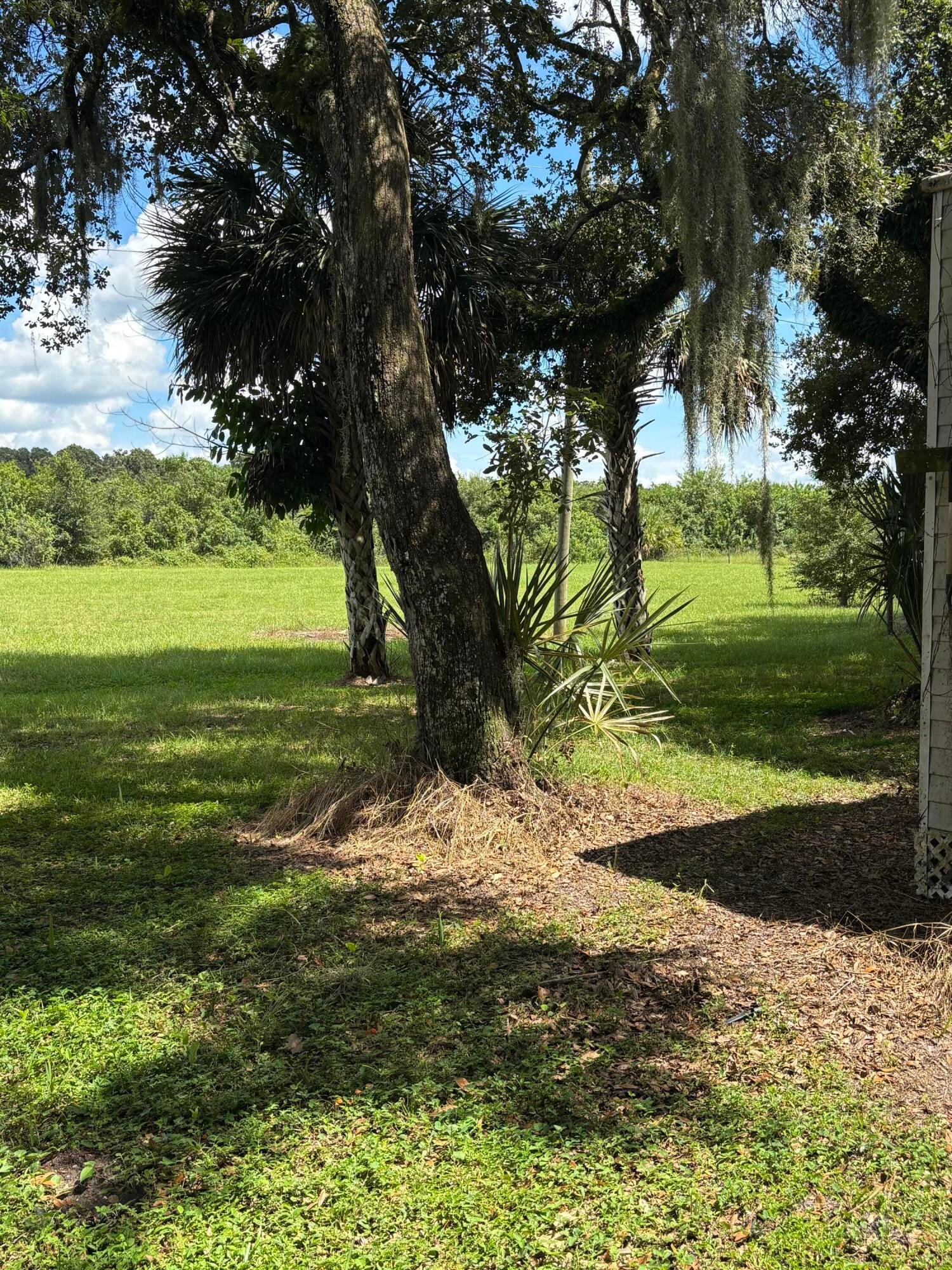 1415 Forest Lane, Clewiston, FL 33440 photo 22
