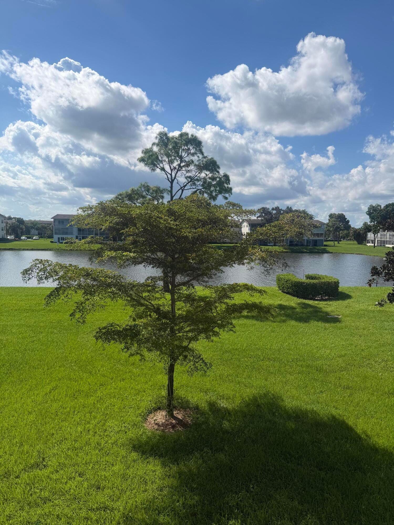 359 Preston I, Boca Raton, FL 33434 photo 15