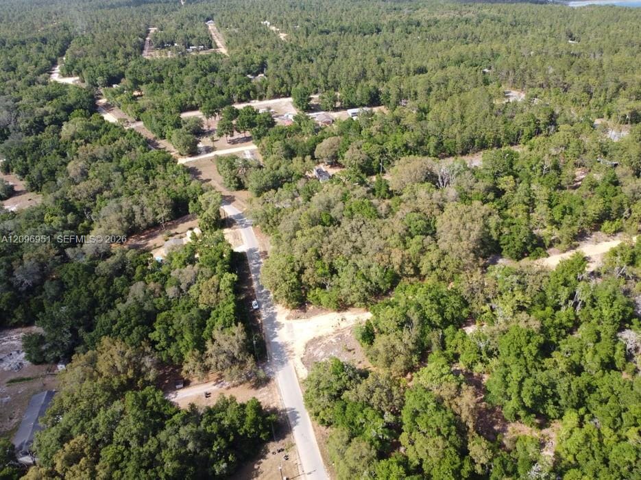 [162] Dickens Street, FL 32148 photo 2